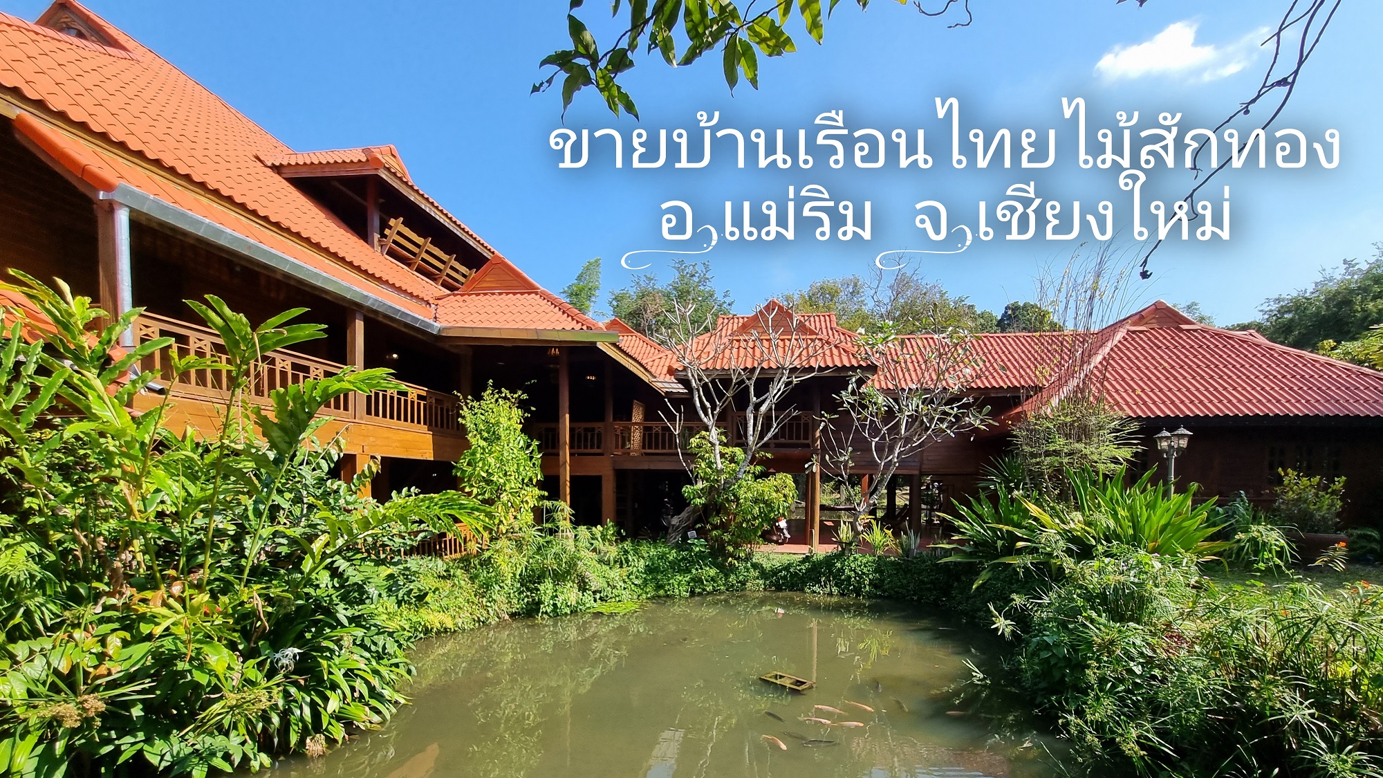 ขายบ้านเรือนไทยไม้สักทอง ใกล้โรงแรมโฟร์ซีซัน เนื้อที่ 1-0-39 ไร่ ราคา 25 ล้าน